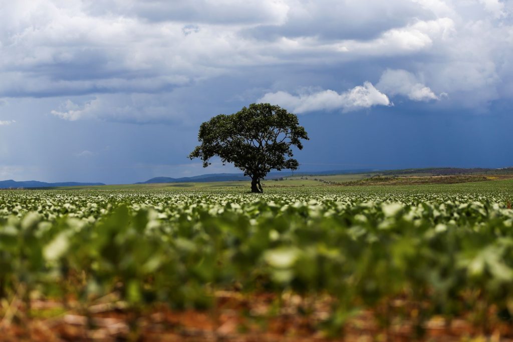 “previa-do-pib”-mostra-economia-ainda-aquecida-e-reforca-argumento-para-selic-elevada
