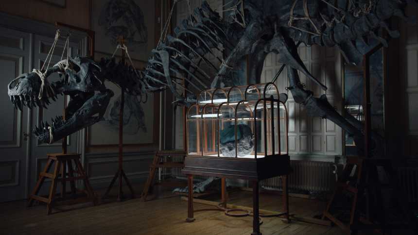 bolsa-de-crocodilo?-luxo,-agora,-e-o-couro-de-dinossauro-t.-rex