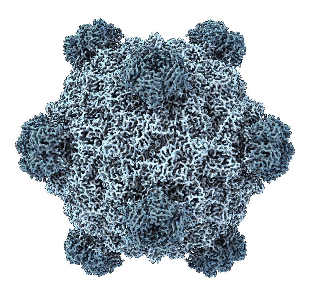 ia-cria-virus-ineditos-na-natureza-pela-primeira-vez