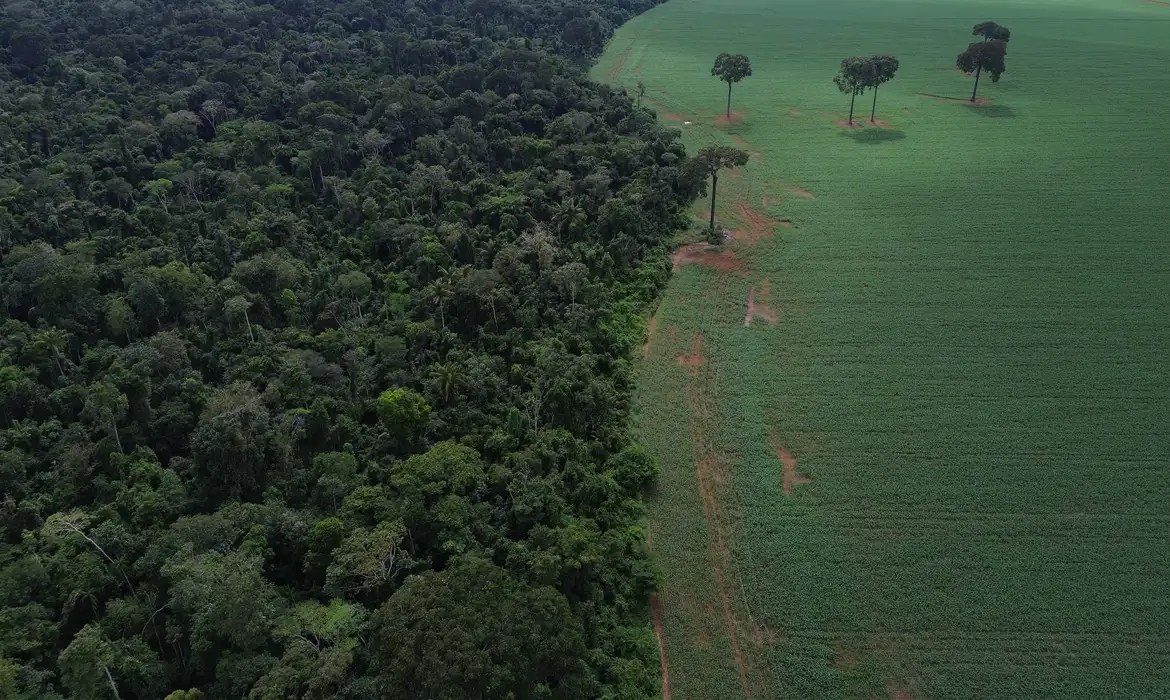 amazonia-tem-menor-area-sob-alerta-de-desmatamento-em-10-anos