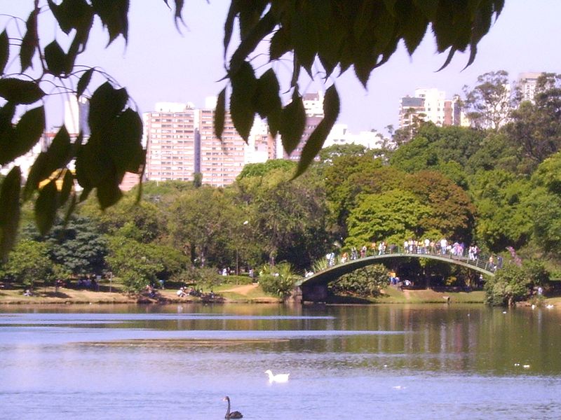 sp-confirma-segundo-caso-de-gripe-aviaria-do-ano;-ave-foi-encontrada-no-ibirapuera